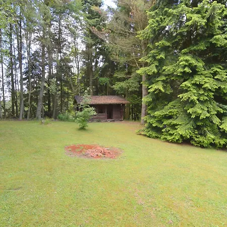 Gruppenhaus In Monschau Am Wald Prázdninový dům Alzen